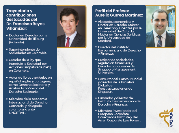 AEDS Nuevos miembros: Dr. Francisco Reyes Villamizar y Prof. Aurelio Gurrea Martínez